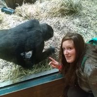 Fotos von Molly Brien