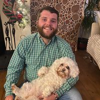 nicky lambert的照片