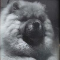 Le foto di Carolina Nsue