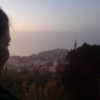 Heni Milneršić's Photo