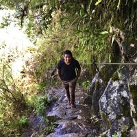 Nils Anthony Effio Moreno的照片