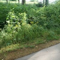 KATE & CHARICE's Photo