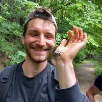 Valentin Pallutt's Photo