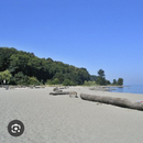 Hangout at Spanish Banks Beach's picture