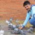 sunil kumar's Photo