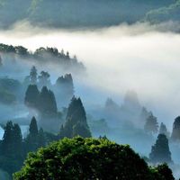 Fotos de Nikita Prikhodchenco