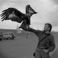 Alex Borchtch的照片