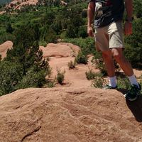 patrick Montgomery的照片