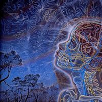 Jack Reynolds's Photo