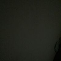 rio adiwijaya's Photo