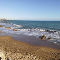 Venera Brucculeri's Photo