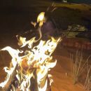 Desert-Dubai 's picture