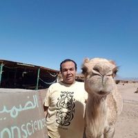 mohammed Badawy的照片