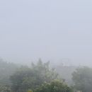 Kite Festival At jal Mahal And Dinner At Rooftop 's picture