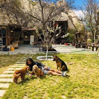 Cihan  Doğru的照片