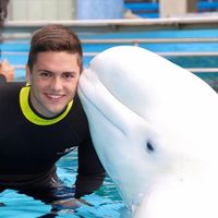 Fotos de Adam Roberti