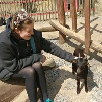 Linea Diering的照片