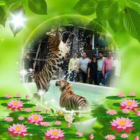 Photos de DrTarun Bhatium