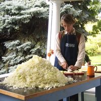 Fotos de Kevin Morin