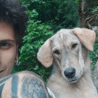 Fotos de Avidya Gezgin