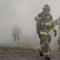 Rob McIntosh's Photo