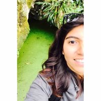 Fotos de Maricela G. Olguín