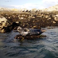 Michelle Cox's Photo