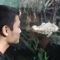 Fotos de Tien Nguyen