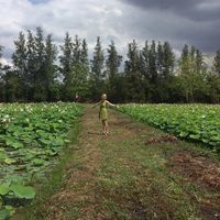 Elizabeth Wilson的照片