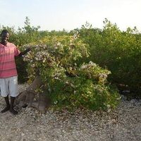 Pape Saliou  Mbodji's Photo