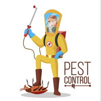 Pest Control  Seymour's Photo