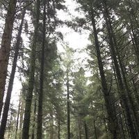 Antonia Wood's Photo