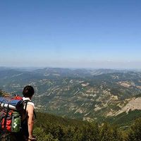 Thomas Andenna's Photo