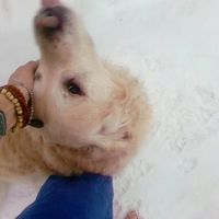 Nekto Stranny's Photo