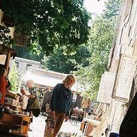 Reigo Alviste's Photo