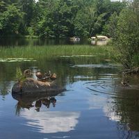 Tim Thorsen的照片