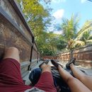 Hitchhiking Anywhere!'s picture