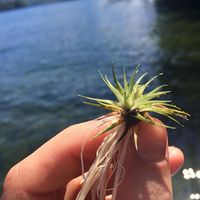 Ben Sittner的照片