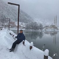 Moutasem Alshwabkah's Photo