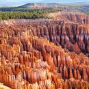 Bryce Canyon Or Grand Canyon 's picture