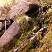 Joshua Laurenzi's Photo