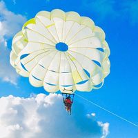 Kelly Flores's Photo