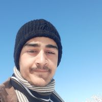 Alireza Zarnooshe's Photo