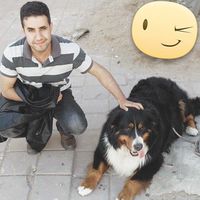 Mohamed Maarouf's Photo