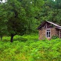 david civil的照片