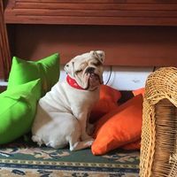 Angelica Gonzalez的照片