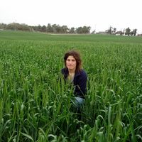 miriam hirshberg的照片