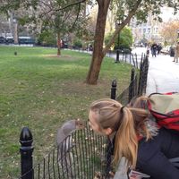 Anne Froehly的照片