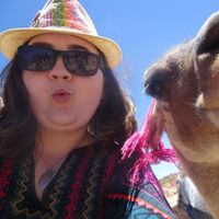 Laurane Thys的照片