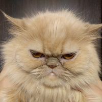 Photos de Aleksandr Nikolaevich